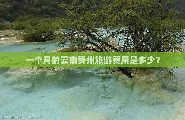 一个月的云南贵州旅游费用是多少？