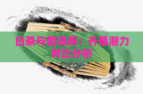 白茶与普洱茶：升值潜力对比分析