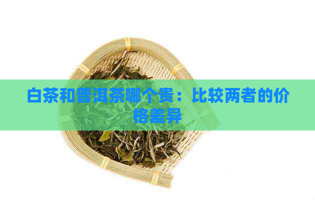 白茶和普洱茶哪个贵：比较两者的价格差异