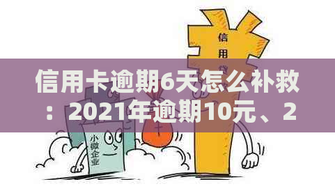 信用卡逾期6天怎么补救：2021年逾期10元、20元案例分析