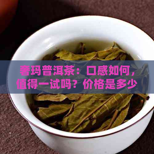 奢玛普洱茶：口感如何，值得一试吗？价格是多少？