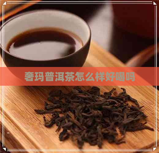 奢玛普洱茶怎么样好喝吗