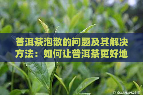 普洱茶泡散的问题及其解决方法：如何让普洱茶更好地溶解并提升口感？