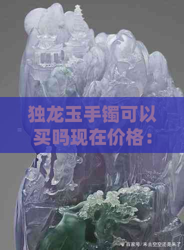 独龙玉手镯可以买吗现在价格：值得购买吗？有收藏价值吗？