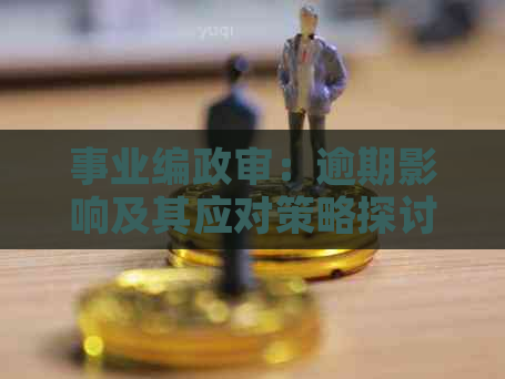 事业编政审：逾期影响及其应对策略探讨