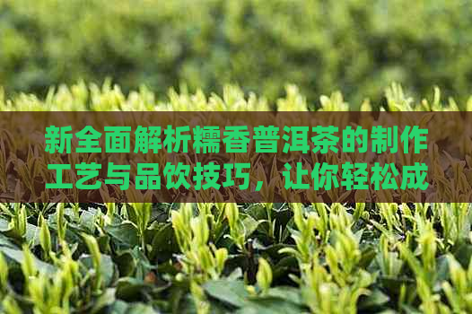 新全面解析糯香普洱茶的制作工艺与品饮技巧，让你轻松成为茶叶专家