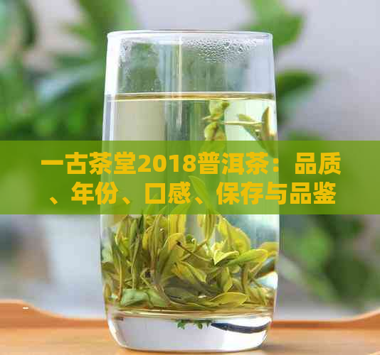 一古茶堂2018普洱茶：品质、年份、口感、保存与品鉴全方位解析