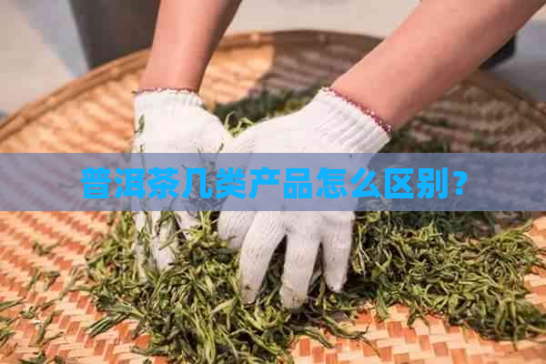 普洱茶几类产品怎么区别？