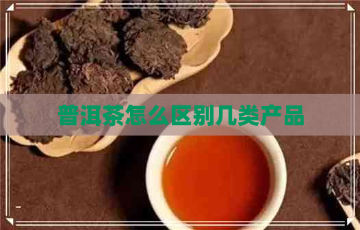 普洱茶怎么区别几类产品