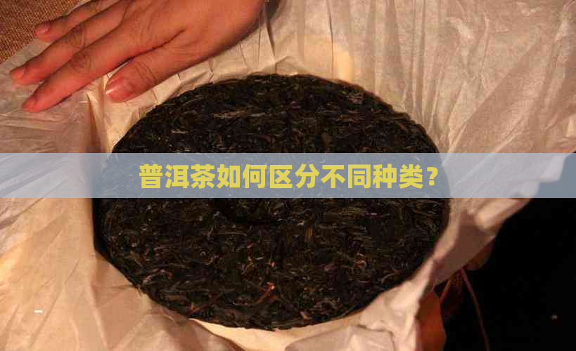 普洱茶如何区分不同种类？