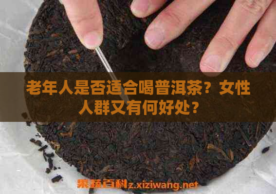 老年人是否适合喝普洱茶？女性人群又有何好处？