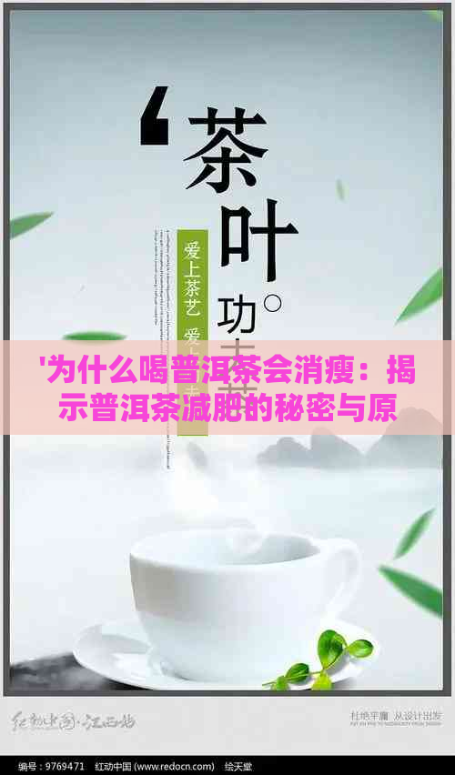 '为什么喝普洱茶会消瘦：揭示普洱茶减肥的秘密与原因'