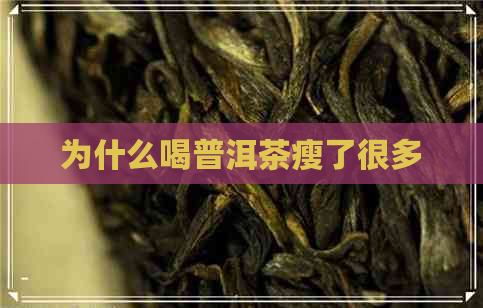 为什么喝普洱茶瘦了很多