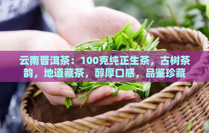 云南普洱茶：100克纯正生茶，古树茶韵，地道藏茶，醇厚口感，品鉴珍藏