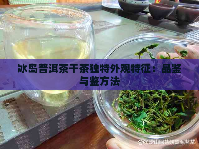 冰岛普洱茶干茶独特外观特征：品鉴与鉴方法