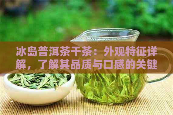 冰岛普洱茶干茶：外观特征详解，了解其品质与口感的关键因素