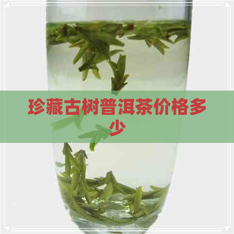 珍藏古树普洱茶价格多少