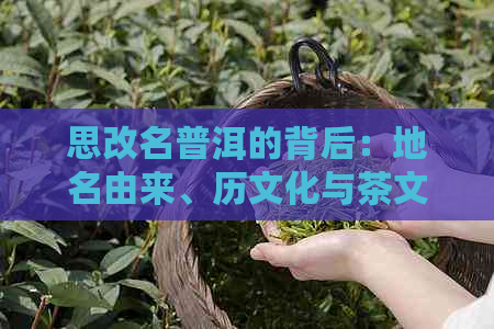 思改名普洱的背后：地名由来、历文化与茶文化传承