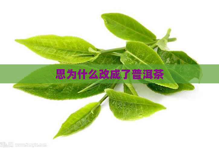 思为什么改成了普洱茶