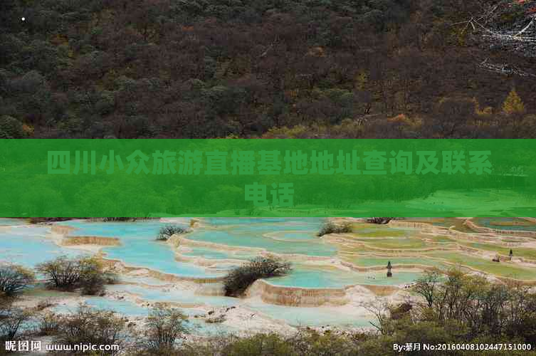 四川小众旅游直播基地地址查询及联系电话