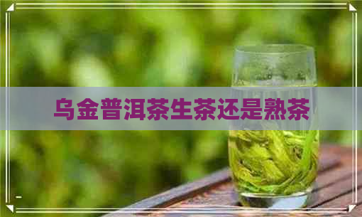 乌金普洱茶生茶还是熟茶