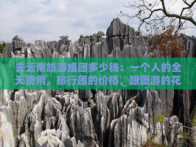 去云南旅游组团多少钱：一个人的全天费用，旅行团的价格，跟团游的花费