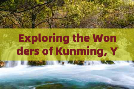 Exploring the Wonders of Kunming, Yunnan: A Travel Budget Inquiry