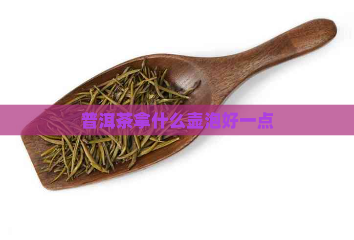 普洱茶拿什么壶泡好一点