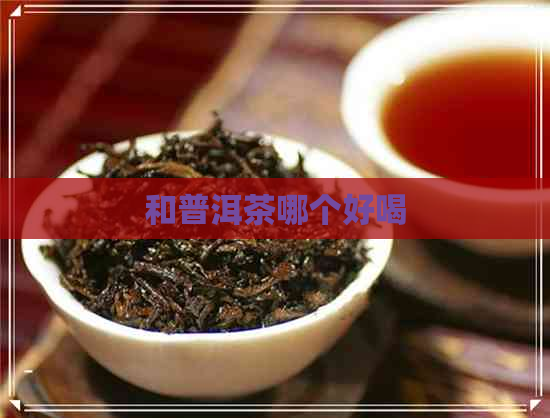 和普洱茶哪个好喝