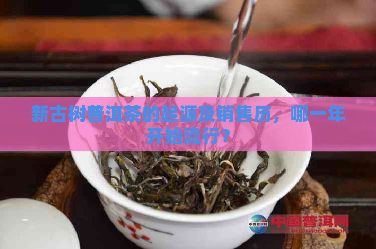 新古树普洱茶的起源及销售历，哪一年开始流行？