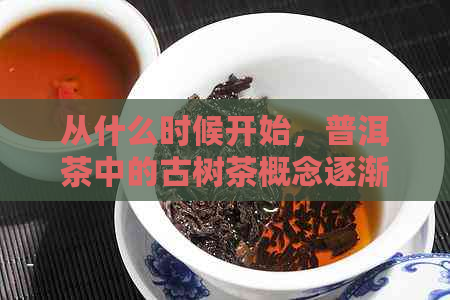 从什么时候开始，普洱茶中的古树茶概念逐渐兴起？