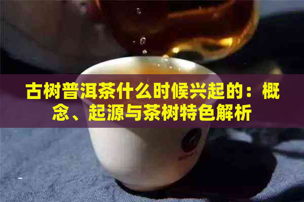 古树普洱茶什么时候兴起的：概念、起源与茶树特色解析