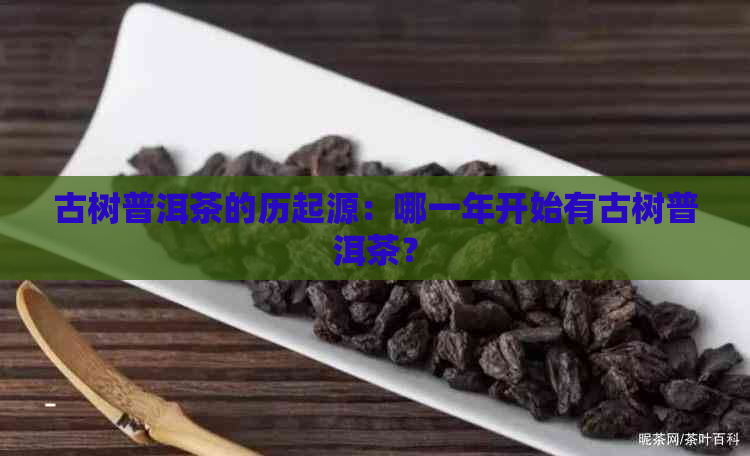 古树普洱茶的历起源：哪一年开始有古树普洱茶？