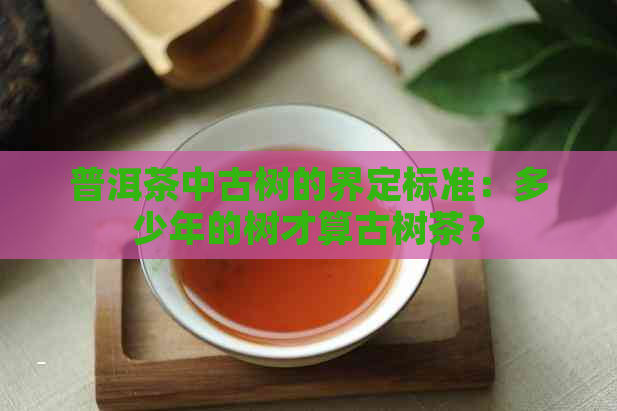 普洱茶中古树的界定标准：多少年的树才算古树茶？