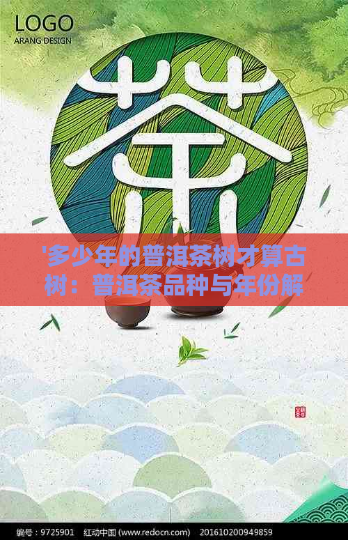 '多少年的普洱茶树才算古树：普洱茶品种与年份解析'