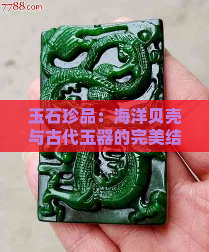 玉石珍品：海洋贝壳与古代玉器的完美结合