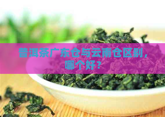 普洱茶广东仓与云南仓区别，哪个好？