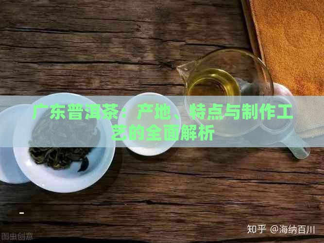 广东普洱茶：产地、特点与制作工艺的全面解析