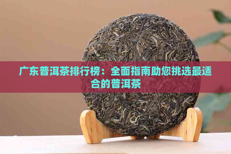 广东普洱茶排行榜：全面指南助您挑选最适合的普洱茶