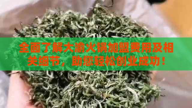 全面了解大渝火锅加盟费用及相关细节，助您轻松创业成功！