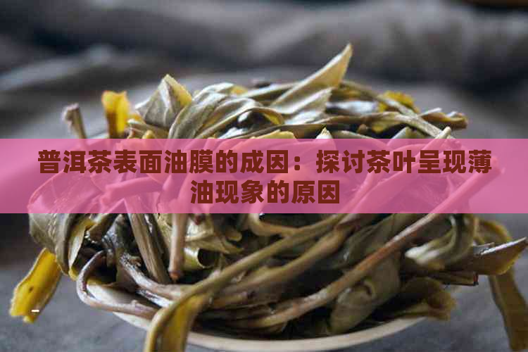 普洱茶表面油膜的成因：探讨茶叶呈现薄油现象的原因