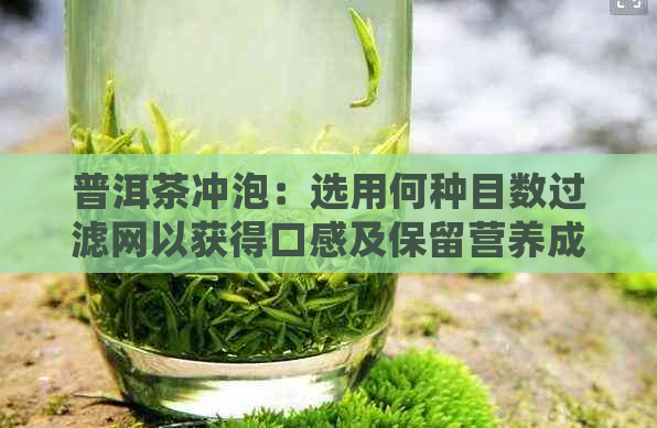 普洱茶冲泡：选用何种目数过滤网以获得口感及保留营养成分？