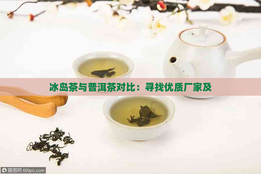 冰岛茶与普洱茶对比：寻找优质厂家及