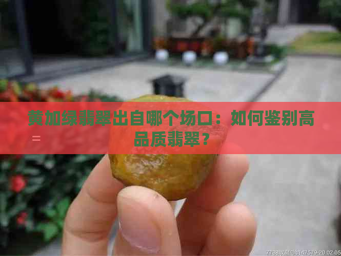 黄加绿翡翠出自哪个场口：如何鉴别高品质翡翠？