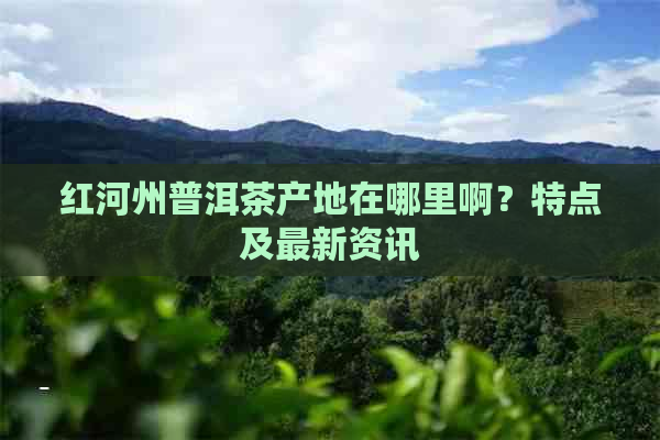 红河州普洱茶产地在哪里啊？特点及最新资讯