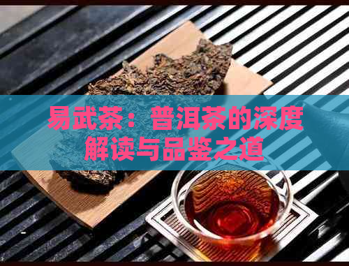 易武茶：普洱茶的深度解读与品鉴之道