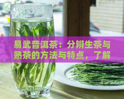 易武普洱茶：分辨生茶与熟茶的方法与特点，了解你的选择