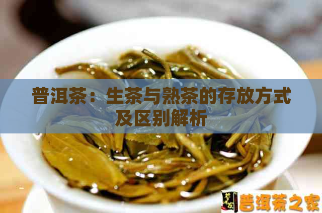 普洱茶：生茶与熟茶的存放方式及区别解析