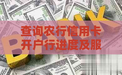 查询农行信用卡开户行进度及服务电话，查询农行信用卡账单和余额