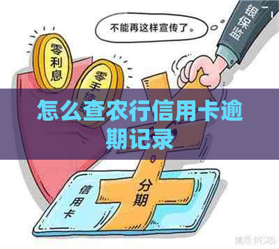 怎么查农行信用卡逾期记录